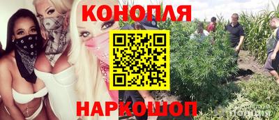 дживик Малгобек