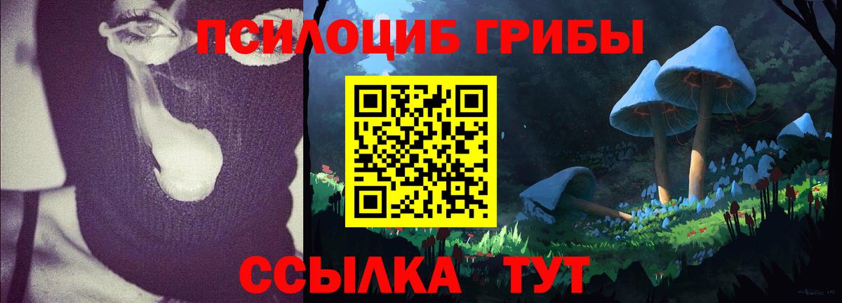 Псилоцибиновые грибы Psilocybine cubensis Снежинск